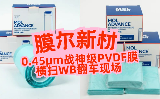 “膜”力加倍！膜尔新材战神级PVDF膜横扫WB翻车现场—0.45μm精准孔径狙杀各类蛋白，背景纯净如冰川