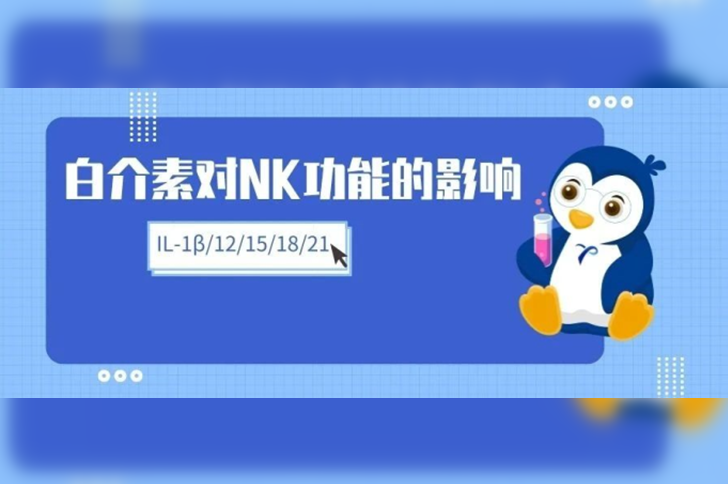 白介素对NK细胞功能的影响（IL-1β、IL-12、IL-15...）