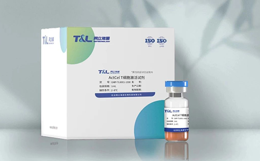 特别推荐—GMP级别ActCel T细胞激活试剂重磅上市！